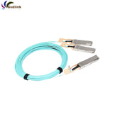10m MFS1S50-V010E MFS1S50-H010E MFS1S50-H010V Mellanox Compatible 200G QSFP56 to 2 x 100G QSFP56 Ethernet Active Optical Breakout Cable